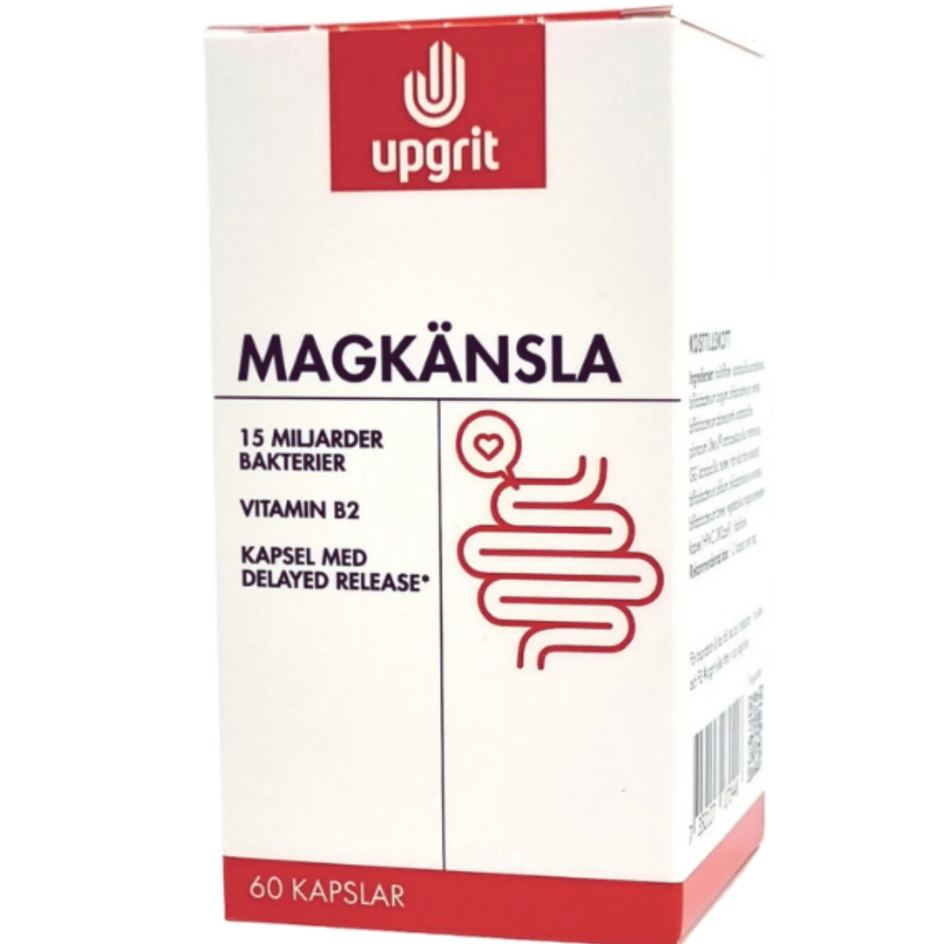 Upgrit Magkänsla Mjölksyrabakterier 60 kapslar
