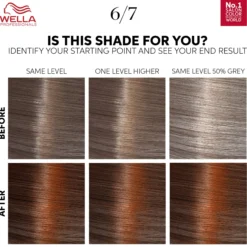 Wella Professionals Color Touch Deep Brown Chocolate 6/7 130 ml