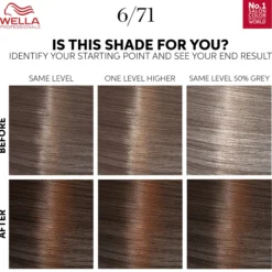 Wella Professionals Color Touch Deep Brown Medium Maple Brown 6/71 130 ml