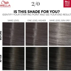 Wella Professionals Color Touch Pure Naturals Black 2/0 130 ml