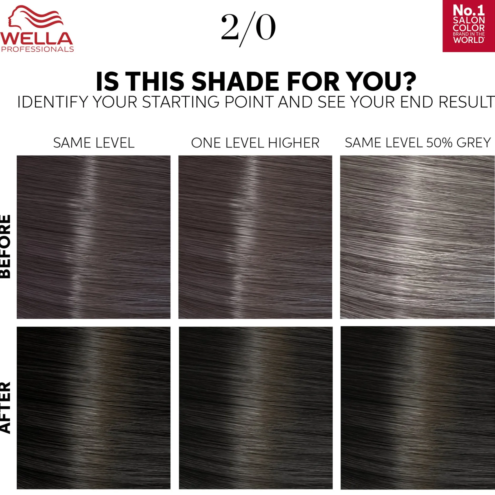 Wella Professionals Color Touch Pure Naturals Black 2/0 130 ml